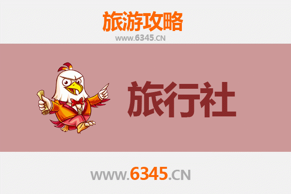 阿坝红原旅游攻略：本地旅行社推荐与草原深度体验指南